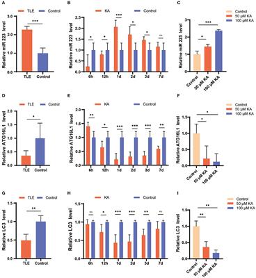 MicroRNA 223 Targeting ATG16L1 Affects Microglial Autophagy in the Kainic Acid Model of Temporal Lobe Epilepsy